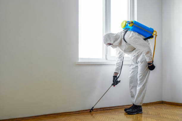 Best Termite Control Services  in Mount Pleasant, NC